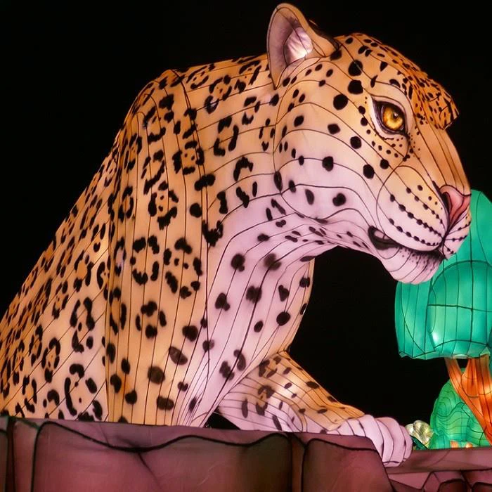 Colorful Chinese Handmade Animal Shape Led Silk Lantern Fair