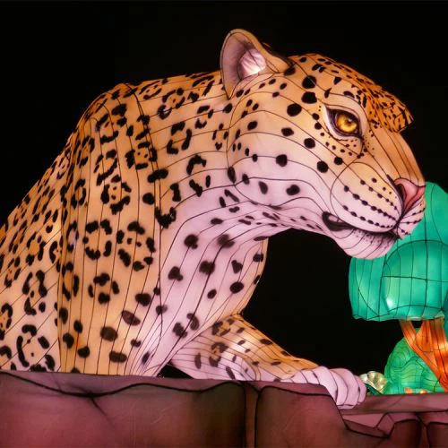 Lanterna cinese dello zodiaco